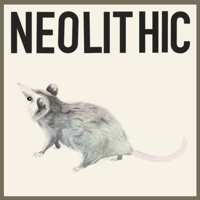 An album cover with a surprised, yet curious possum looks above to the word "Neolithic".